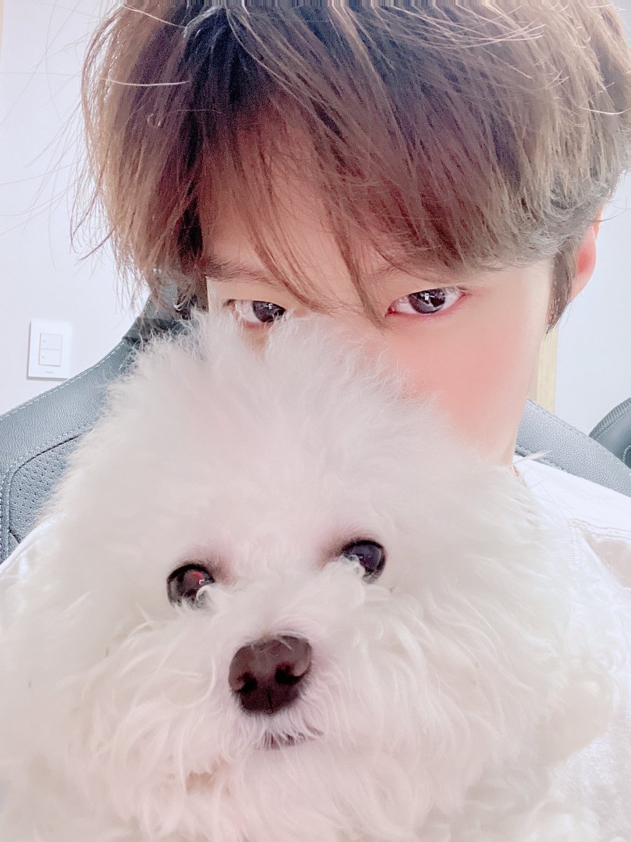 wooseoksnia's tweet photo. 220506 Wooseok 💭 Updates

: Is Ppoppo's head bigger than mine..? https://t.co/gPFEhL1G80