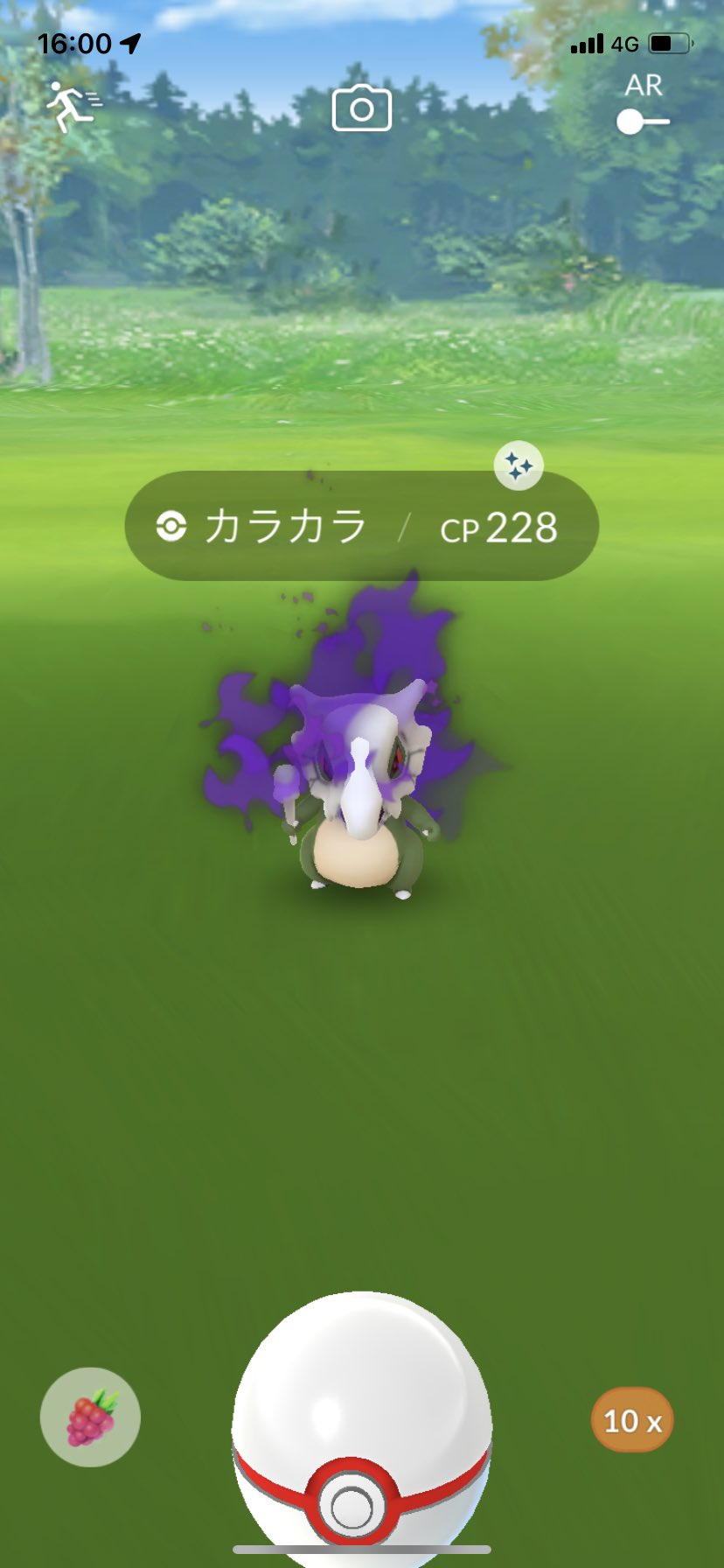 ポラリス ポケモンgo 先程の色違いシャドウカラカラ リトレーンして個体値100にしました そして ガラガラに進化させました ポケモンgo 色違い リトレーン カラカラ ガラガラ T Co T3ncqn5ma1 Twitter