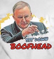 FayeCla39563314's tweet photo. @alifrance5 @MrKRudd #DumpDutton #RubyDutton #SitdownBoofhead https://t.co/BRDMCoLLgo
