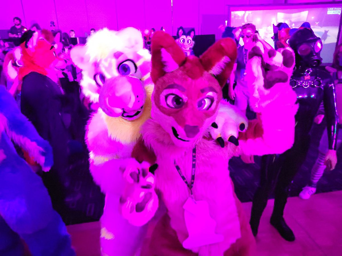 2 year anniversary with <a href="/Reien151/">Reien</a> today means I have broken my relationship record! 😅

Here is a photo from #furdu2022 last weekend when I convinced this shy lion to come dance with me 😜

Turns out he glows!

📸@Cowobalt 
Ozzy by @AshaTheRedPanda 
Reien by @TullyKarmaDog