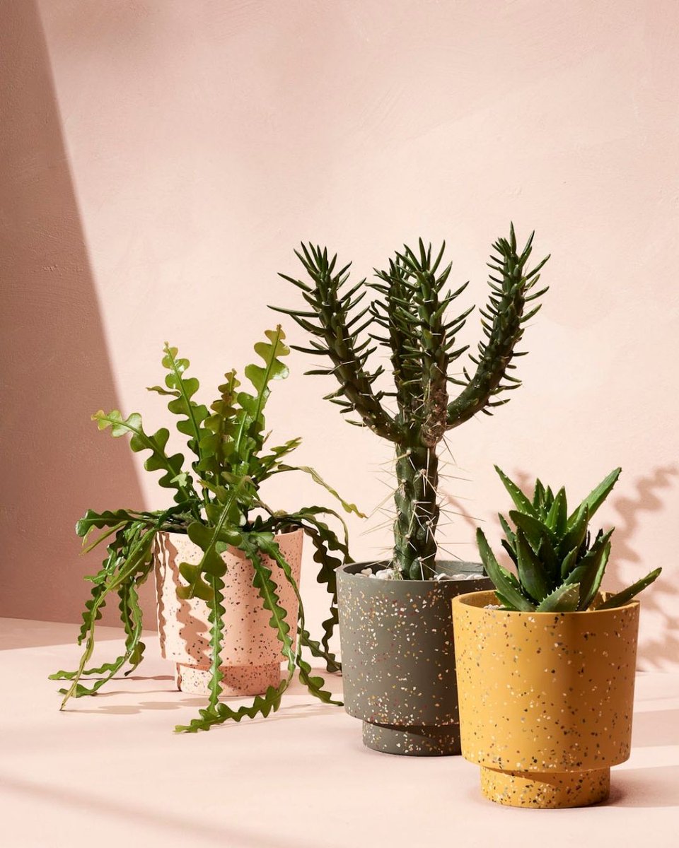 Ocean Road Magazine tweet media