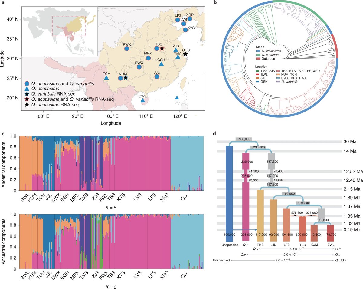 Genome-wide analyses of introgression between two sympatric Asian oak species rdcu.be/cMZLX