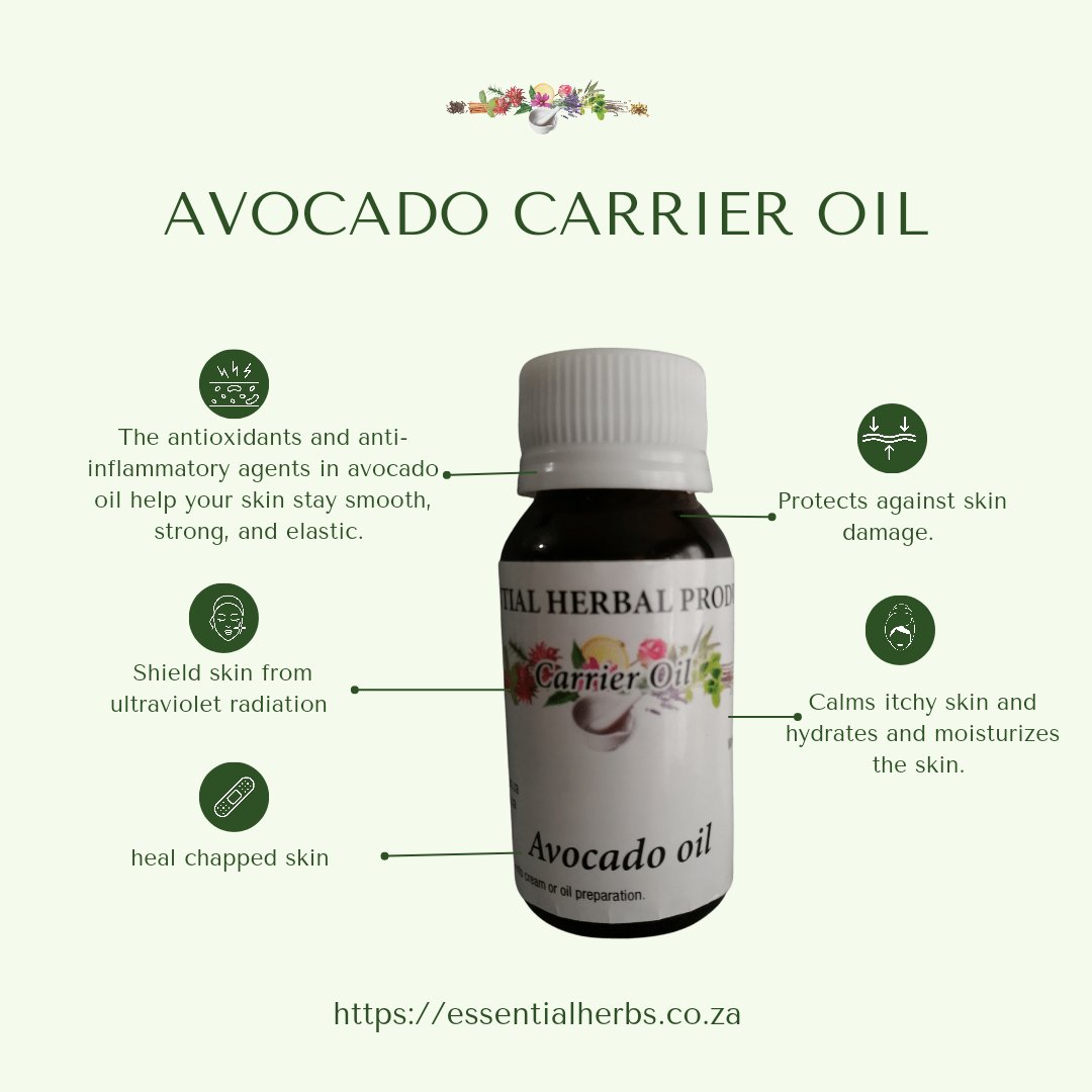 EssentialHerbs1's tweet photo. A deeper dive into Avocado carrier oil.

https://t.co/JQiDMvtQHK

#health #wellness #skincare #skin #avocado #carrieroil #healthbenefits https://t.co/WlUzfjB5PQ