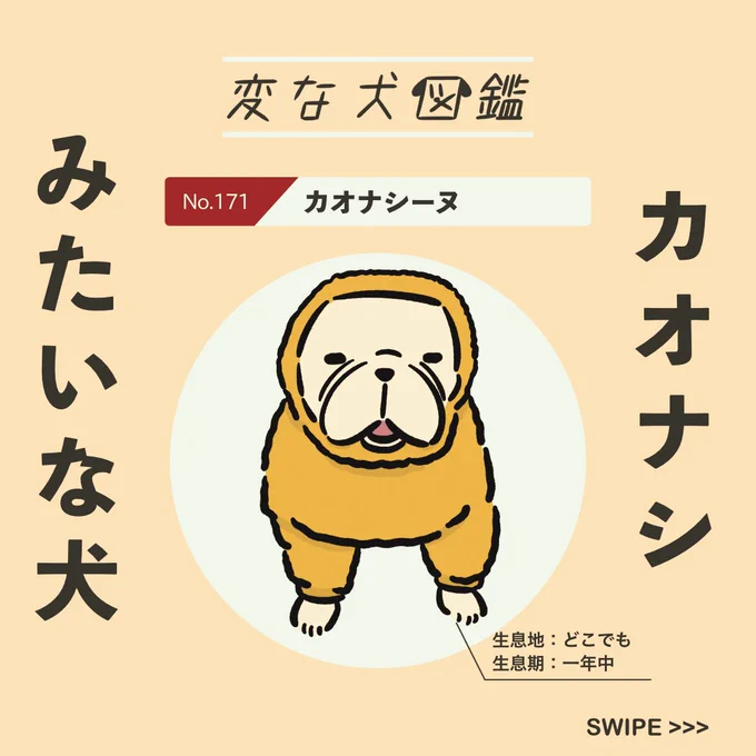 【#変な犬図鑑】
No.171 カオナシーヌ
ジブリ「千と千尋の神隠し」に登場するカオナシみたいなあの犬です。

#ジブリ 