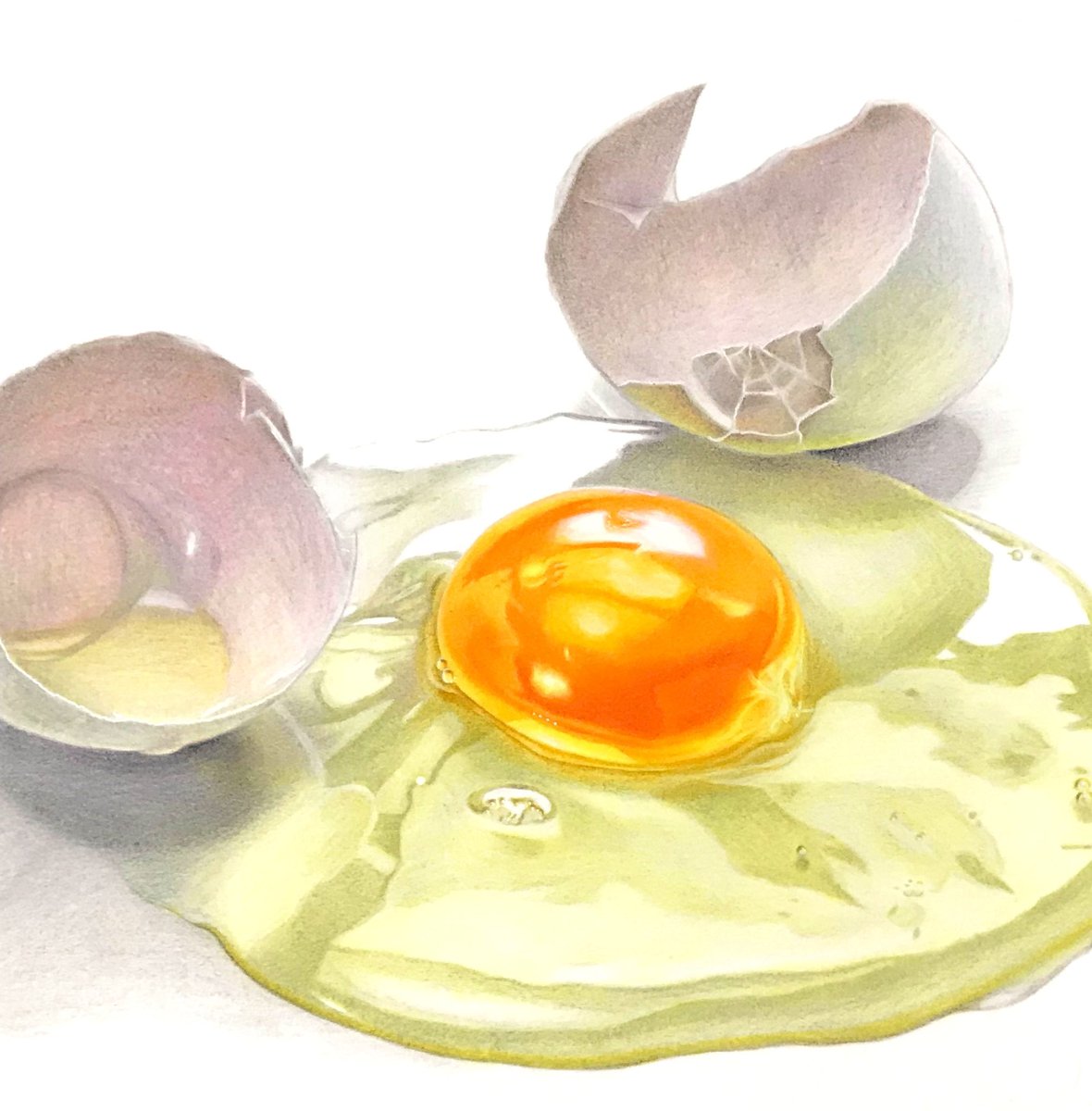 「色鉛筆で描いた生卵

#色鉛筆画 #イラスト 」|ぼんぼんのイラスト