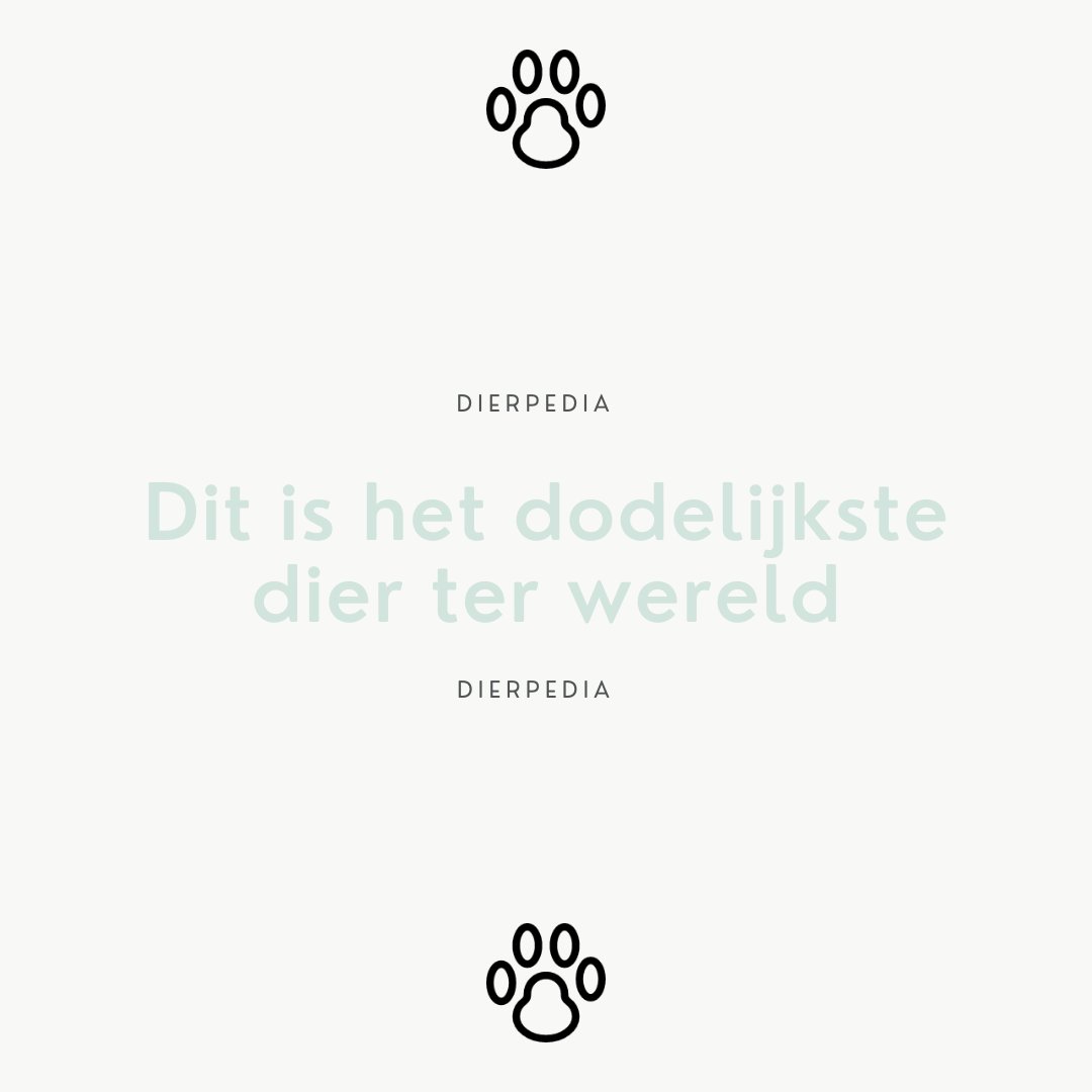 Is het een slang? Is het een haai? Is het een leeuw of tijger?

Dit is het dodelijkste dier ter wereld💀:
dierpedia.nl/overig/dodelij…