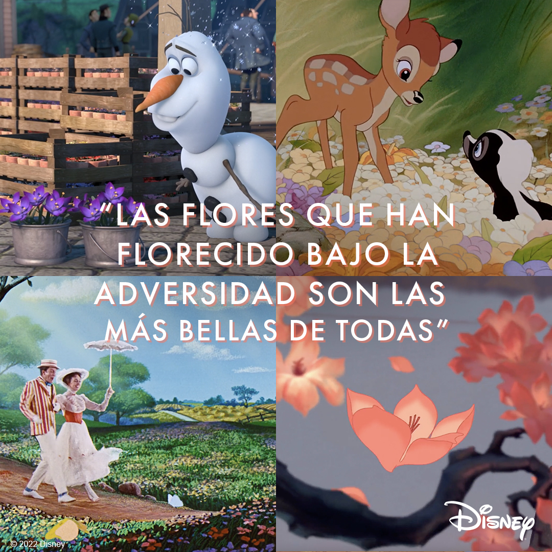 DisneySpain's tweet photo. 🌸 Son las situaciones que nos toca vivir las que nos hacen florecer. 🌸 https://t.co/5RVe9N4o9d