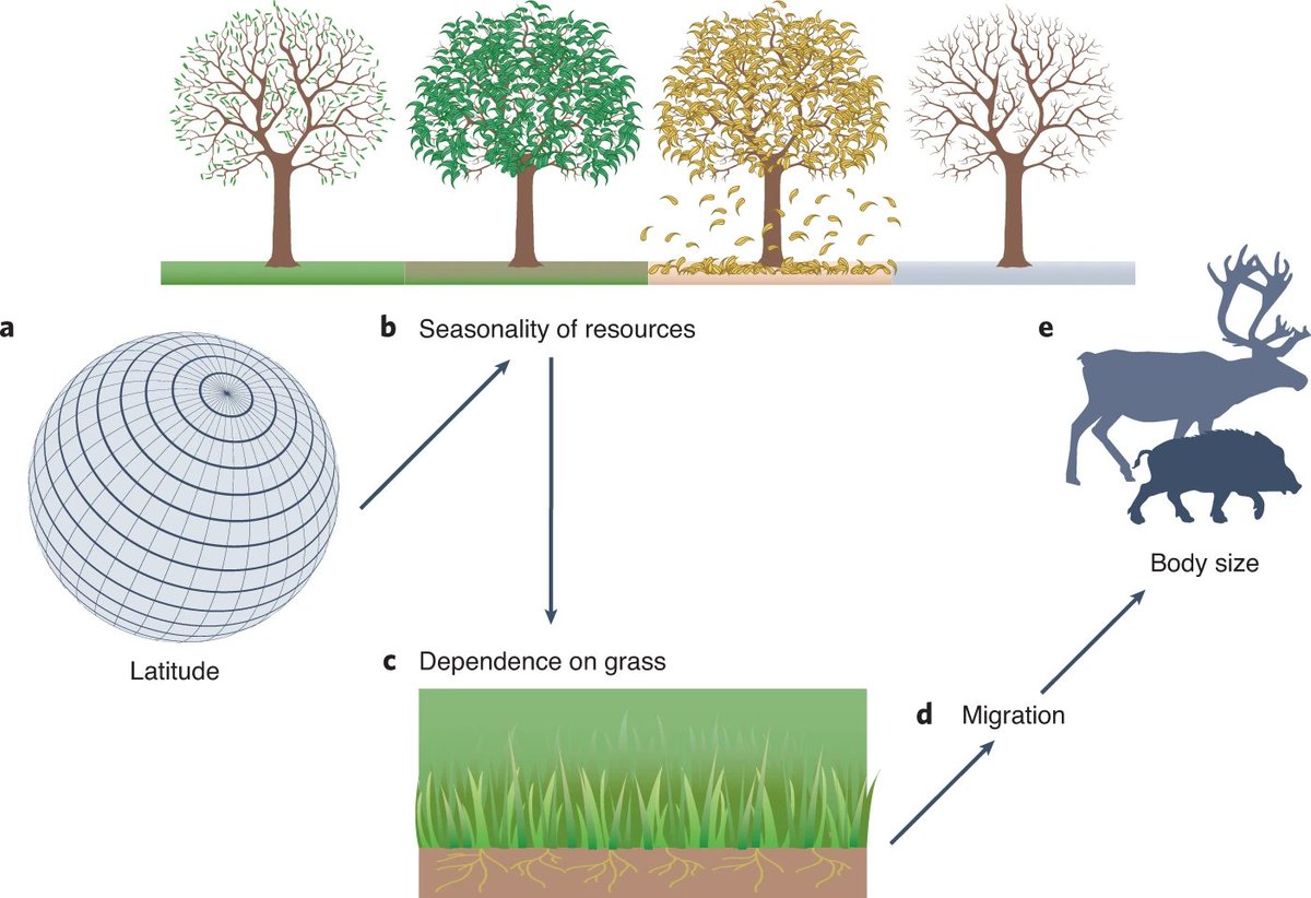 NatureEcoEvo tweet media