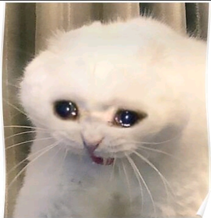 itssophiehere19's tweet image. Mąż, kiedy zobaczył, że żona spaliła mu 15 tysięcy w piekarniku
#matura2022