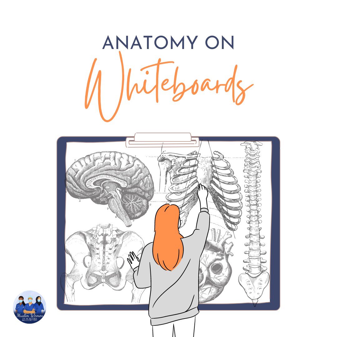 Muslim Women in Surgery tweet media