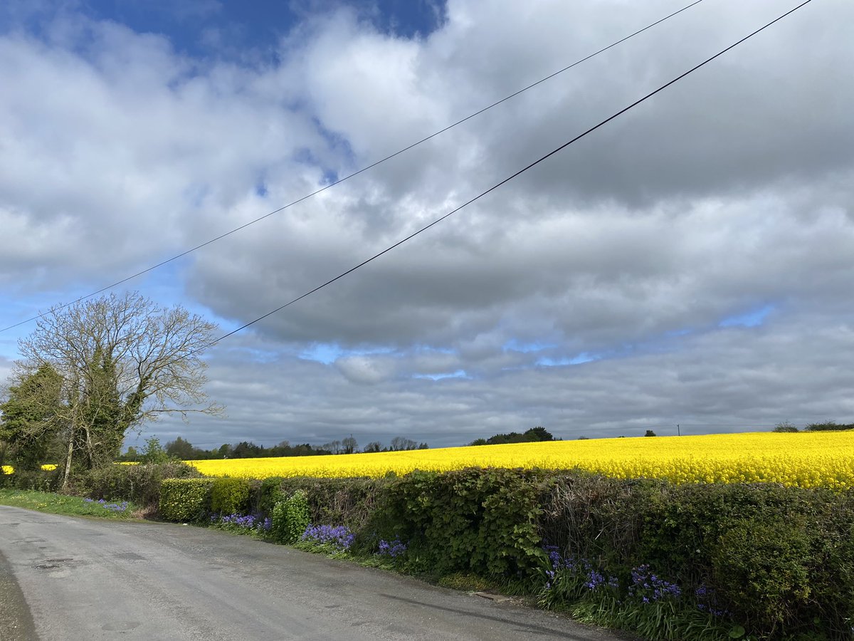 Cathy Callan tweet media