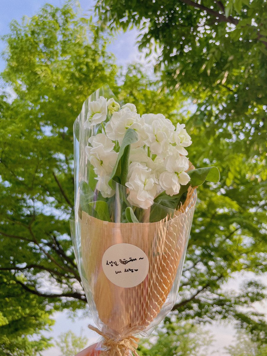 소프트백 ◜ㅅ◝ tweet media