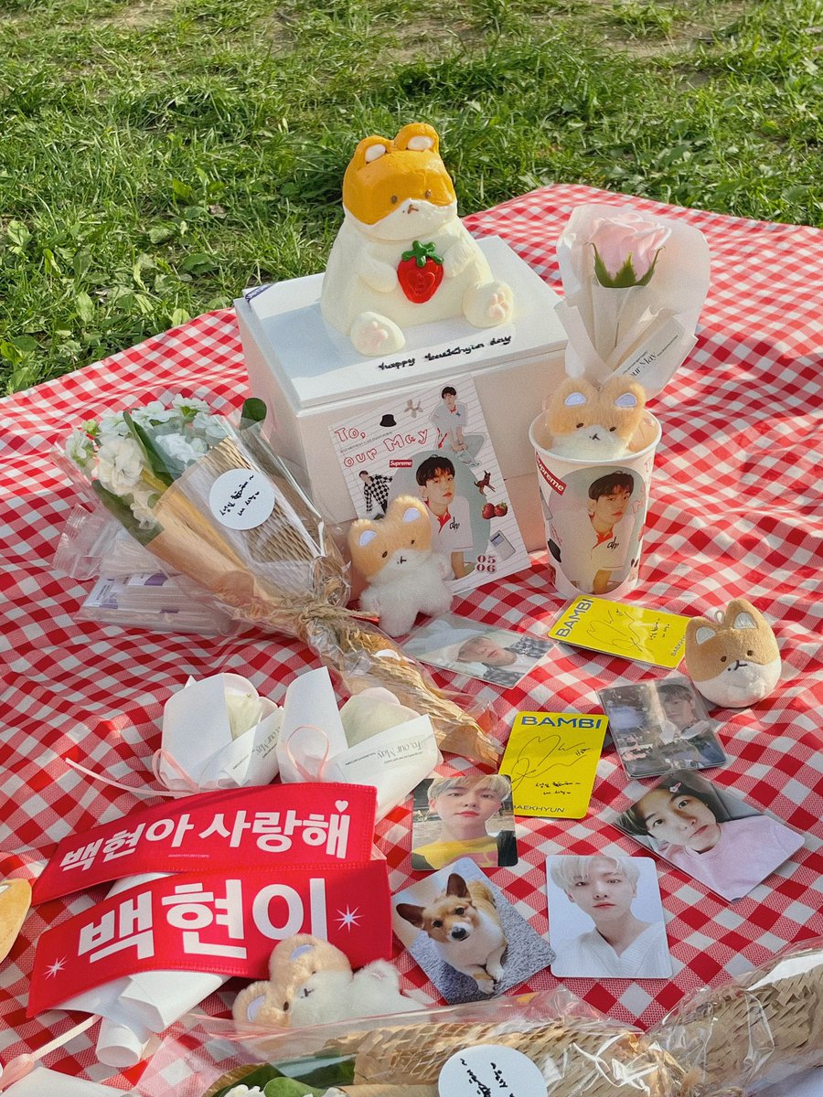 소프트백 ◜ㅅ◝ tweet media