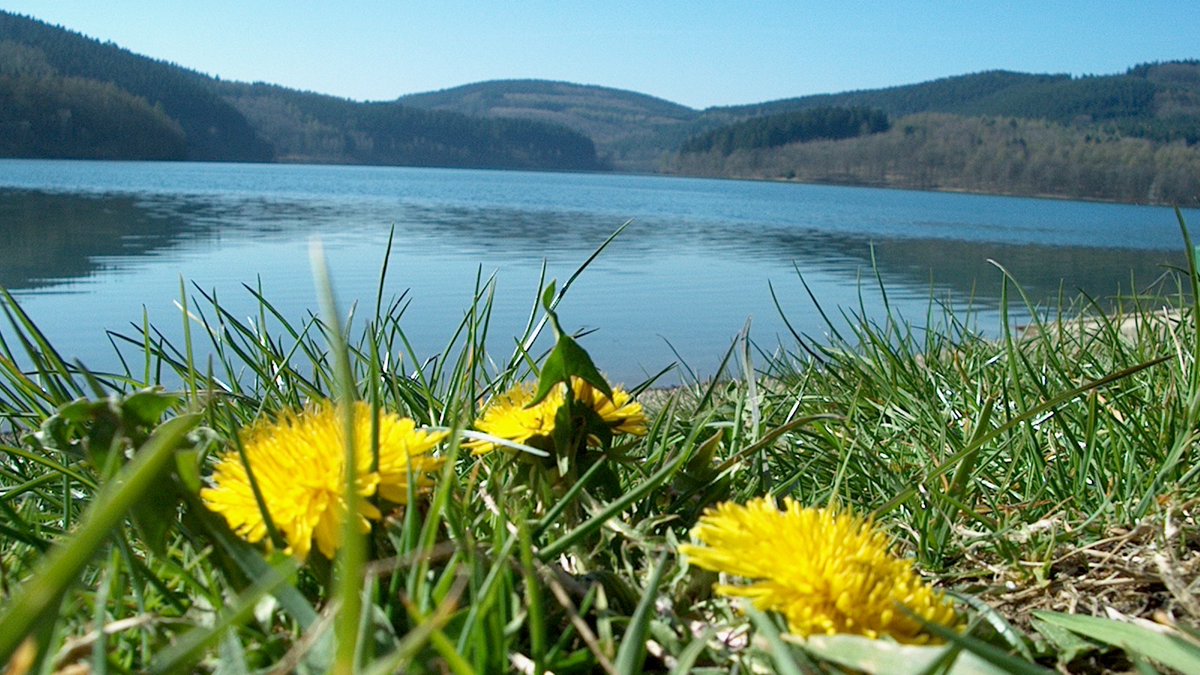suedwestfalen's tweet photo. Bürger:innenbeteiligung der Sauerland-Seen gestartet: Wie kann der Raum um #biggesee, #hennesee, #möhnesee und #sorpesee noch lebenswerter werden?
Ein Projekt der #regionale2025 in #suedwestfalen
Themen u.a. Leben am See, Coworkation, U27
📸 Stadt Meschede
https://t.co/dvly61Dnji https://t.co/PMsIB3rmO9