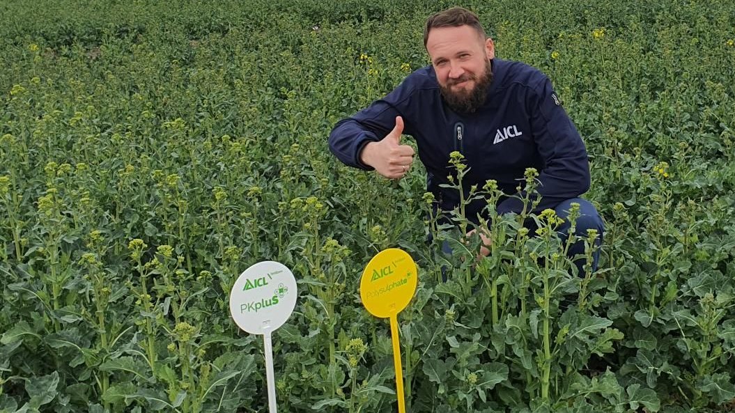 fertilizerpluS's tweet photo. Looking good…
The ICL team in Poland have been out checking the effectiveness of using #ICLPKpluS, #Polysulphate, #Agromaster, and #Agroleaf for Oilseed rape in #Poland.
We hope to publish the trial results in our growing list of results at
https://t.co/eYk5mdQuLv https://t.co/J82ZczxSit
