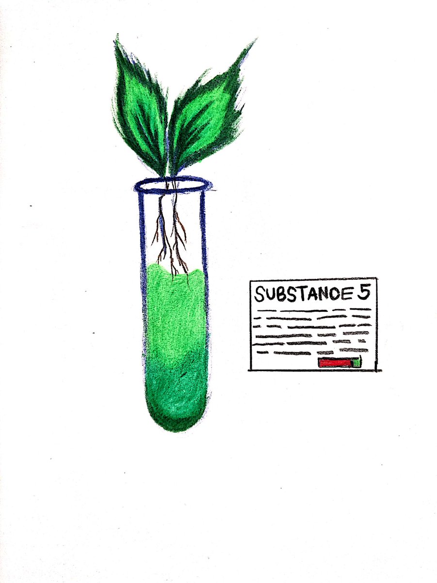 JeospMCBuilds's tweet photo. Part 3: Samples Located 🧪⚗️ Well, it looks like the ones in charge in the experimental design utilized botanical sources from an unknown plant life...🧪

@ThePossessedNFT
@whatthefurr @luuminize @ggDaydreams @tmw_buidls 
#pssssdfanart

Discord ID: jeosp#4997 https://t.co/HWeY7StGQu