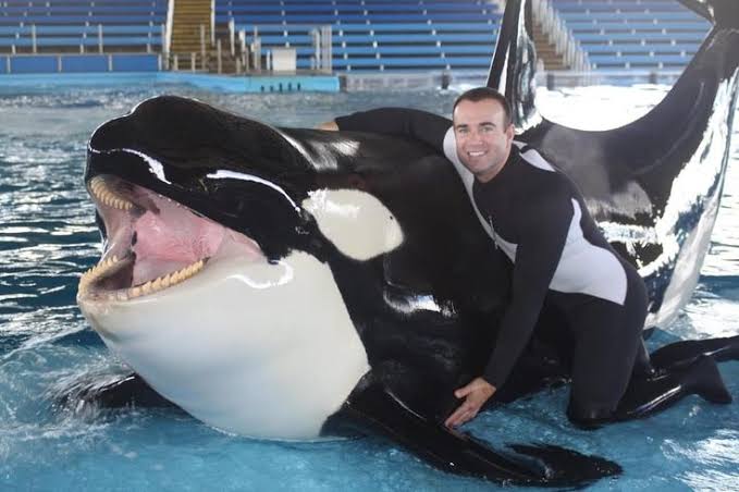 Blackfish bukan sekedar dokumenter biasa, tapi juga studi psikologi hewan dalam balutan thriller yg menegangkan, mencengangkan, juga menyakitkan.

Tentang Tilikum, seekor paus yg membunuh 3 orang selama menjadi performer di SeaWorld Orlando.

One of the best docs I've ever seen!