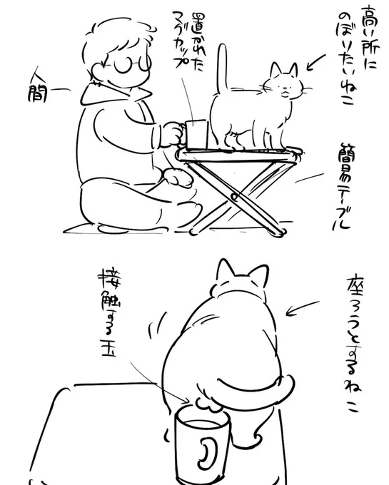 テーブルの上に乗った猫が、そのまま? 直後の展開にニャンということでしょう… https://t.co/ileOZVYfX1 @grapeejpより 