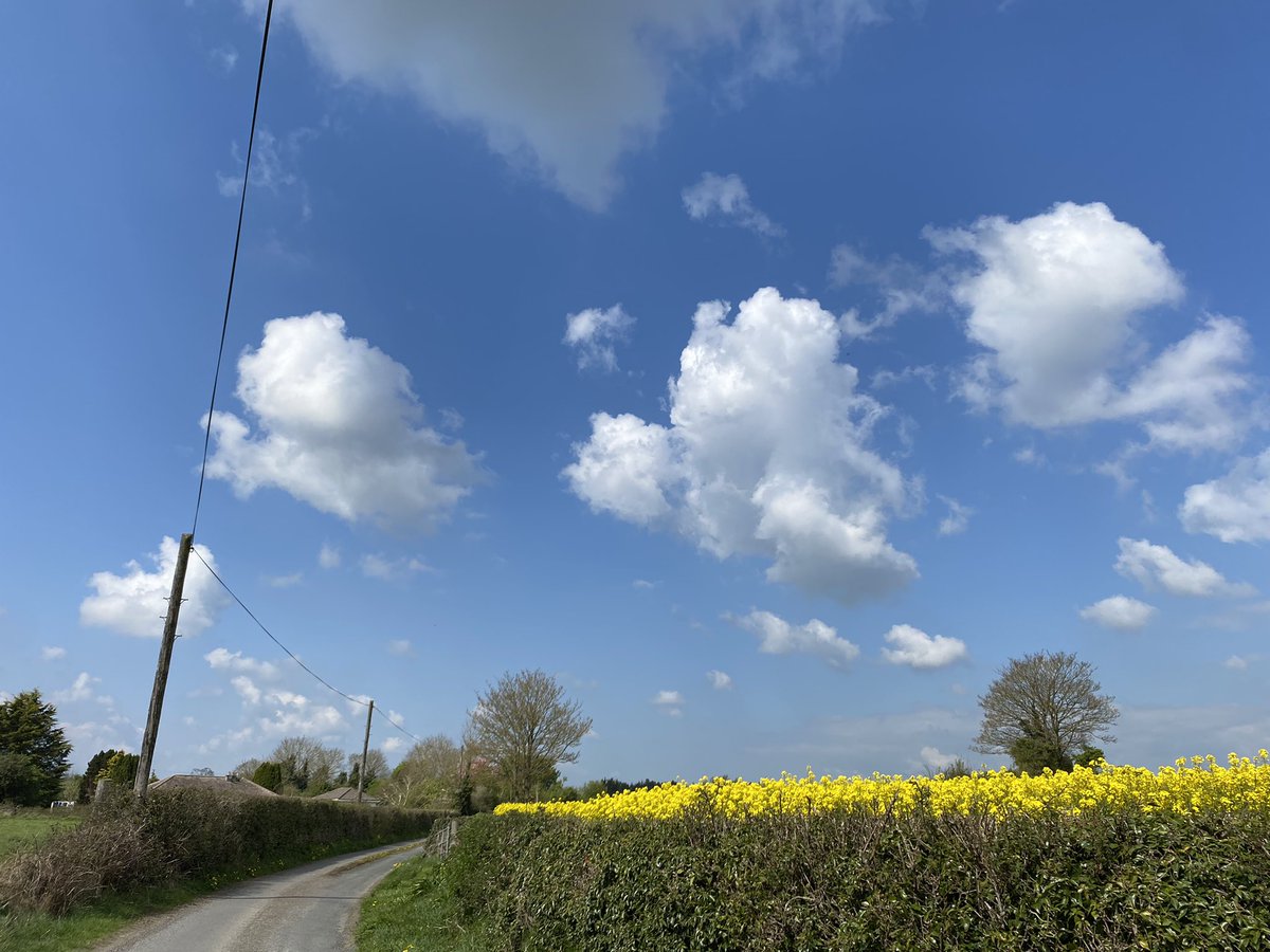 Cathy Callan tweet media