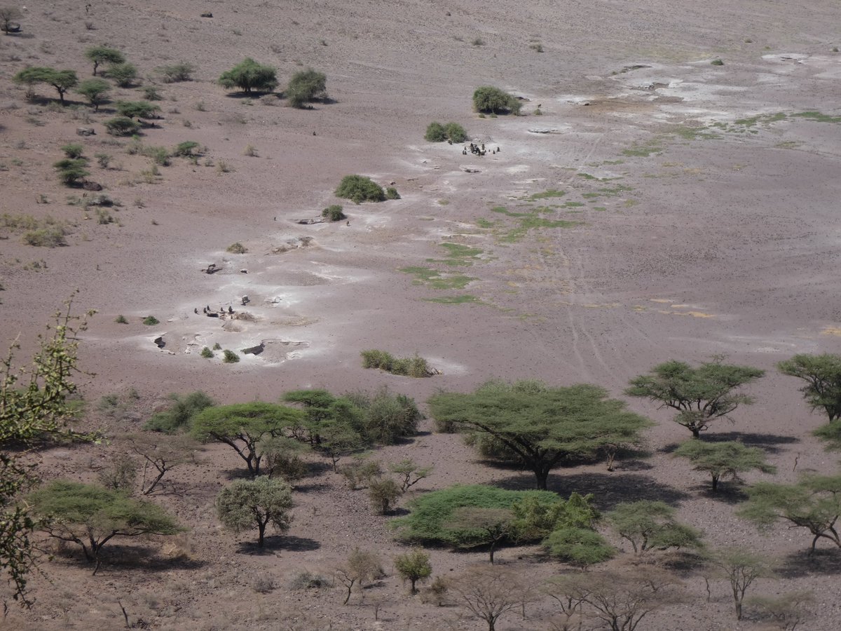 PhotosForTrees's tweet photo. Photos of forests and trees of Kenya to help celebrate the #WFCKorea 

#ForestsMatter #AfricanForests #TreesofKenya https://t.co/r4VdxX1aIh