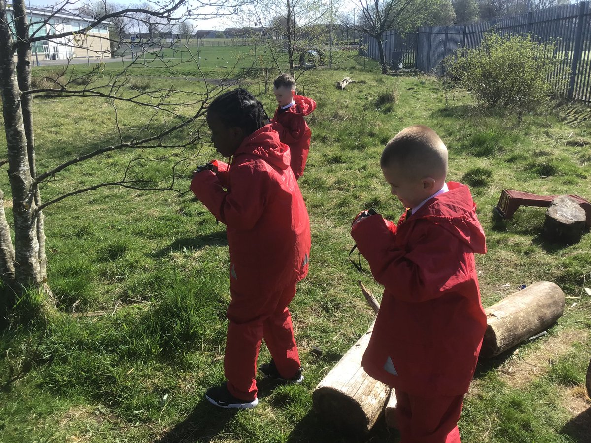 TheHiveStBen's tweet photo. @StBenedictsPS The Hive on a mini beast hunt 🐝🐞🦟 https://t.co/z50SlqtReI