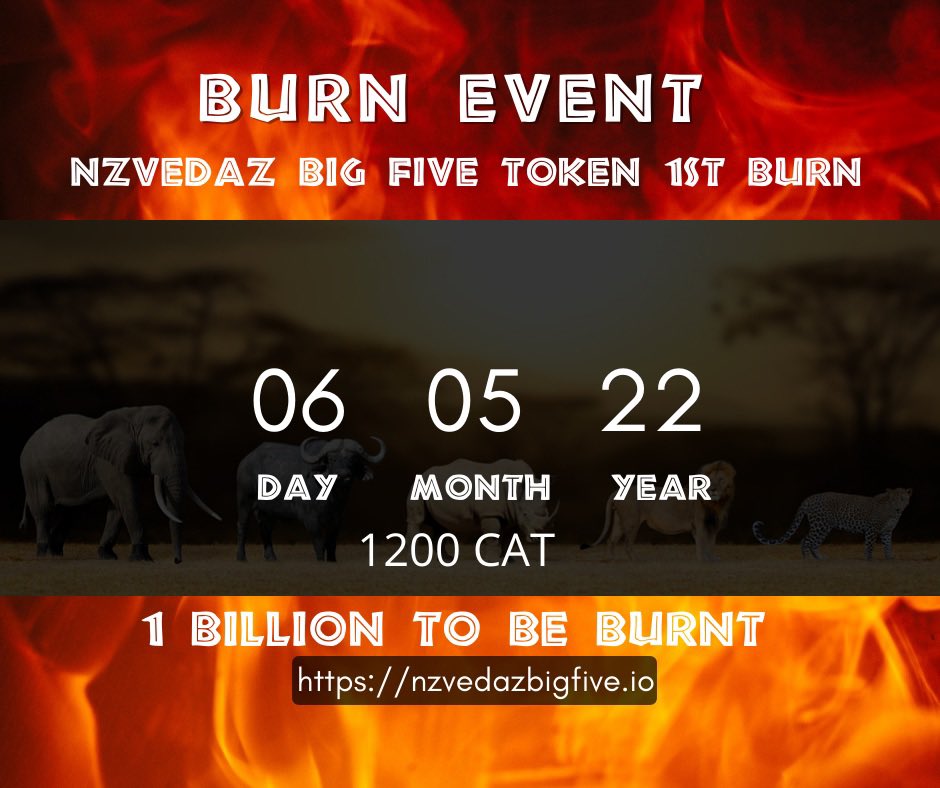 five_token's tweet photo. Today at 1200 CAT we are burning 1% of our maximum supply. We will be doing so on the sixth of each month until we have burnt 25%. Another way of adding value for our $BFT holders https://t.co/JhgDUJjb8Y