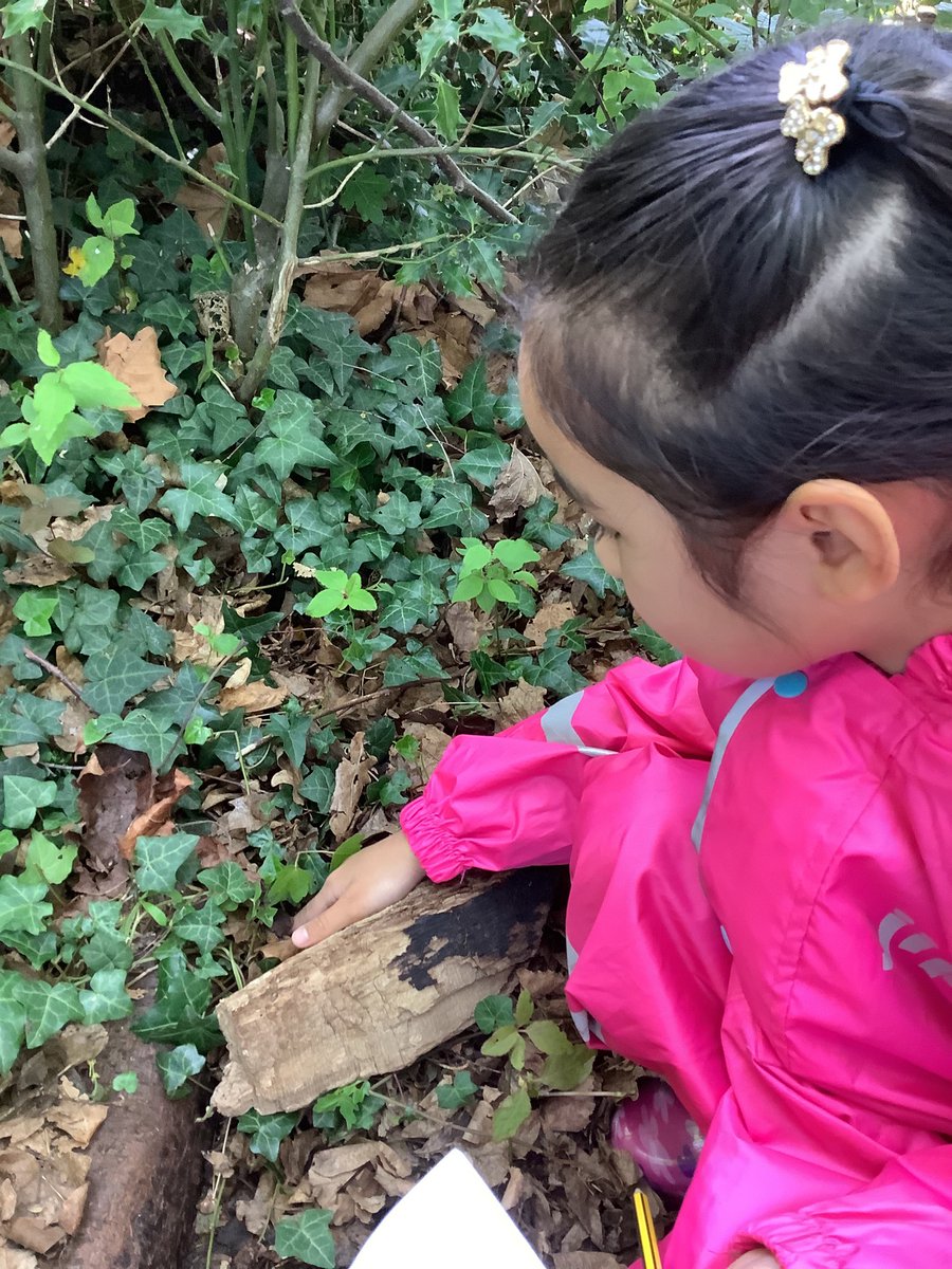 KnockhallEYFS's tweet photo. Forest School FriYAY!!! πΏππͺ²π #eyfsforestschool @W00dlandAcademy @KnockhallPrima1 @KnockhallEYFS https://t.co/oV1d6Cs6al
