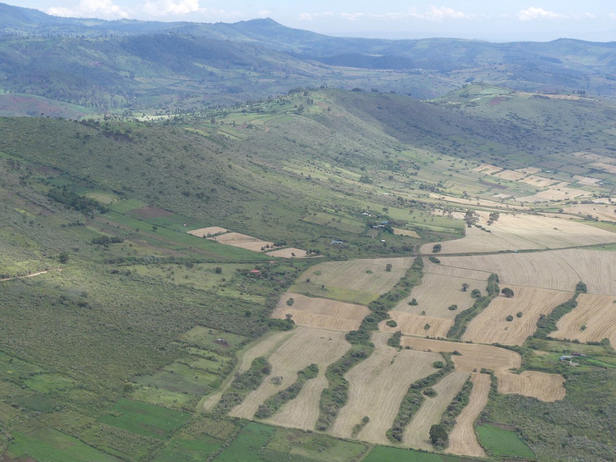 PhotosForTrees's tweet photo. Kenya from Above  

#WFCKorea #ForestsMatter #AfricanForests #TreesofKenya #Landusechange #forestloss #kenyafromabove https://t.co/SOmgMMsB9Z