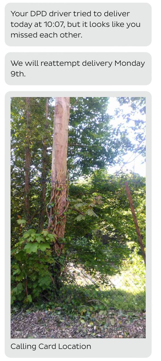 Simon Morton tweet media