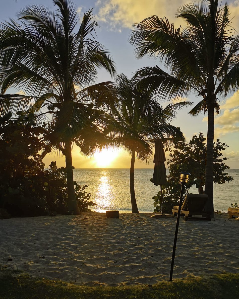 PrometheusHQ's tweet photo. Do you fancy waking up to views like these? 🌴

We're recruiting Deployed Medics for long and short term opportunities worldwide. Find out more: https://t.co/gCbed8rKMP 🌐

Please DM us to discuss your experience 💬 and get that #FridayFeeling every day with #PrometheusMedical ⚕️ https://t.co/MJdZrizys7
