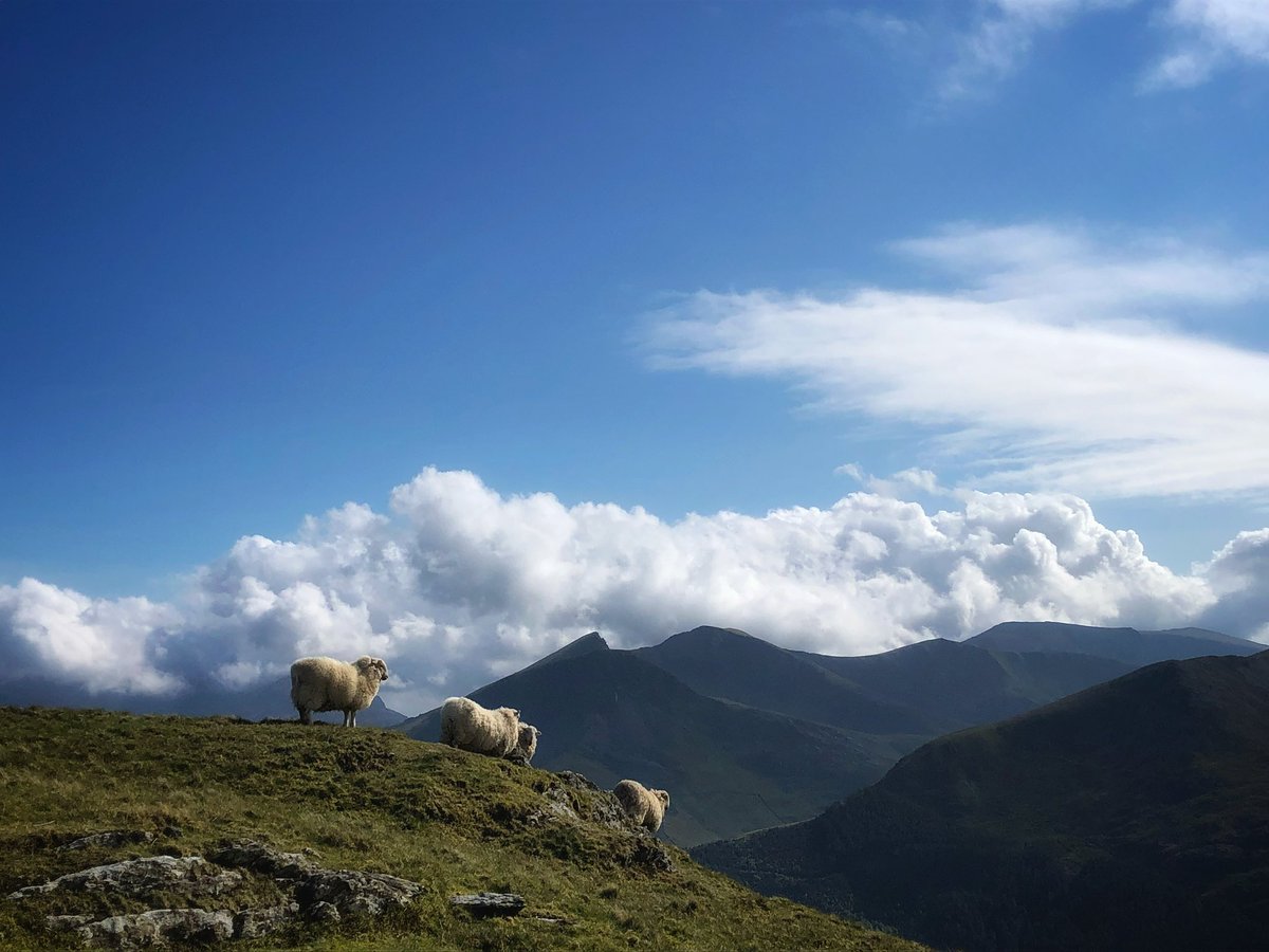 Not the worst view while having lunch. #Exploresnowdonia #StormHour