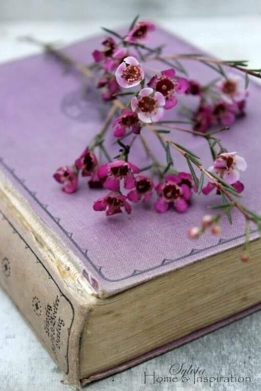 Allah'ın selamı,rahmeti,bereketi üzerinize olsun.Tüm dualarınızın kabul olması dileğiyle...Cumamız mübarek olsun.