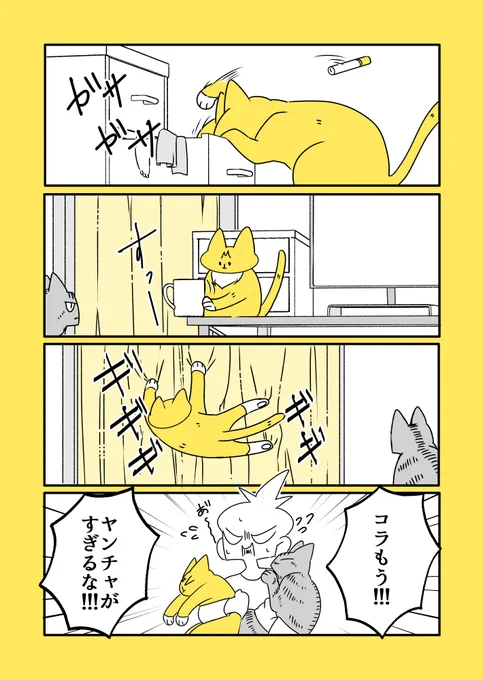 猫まんが 