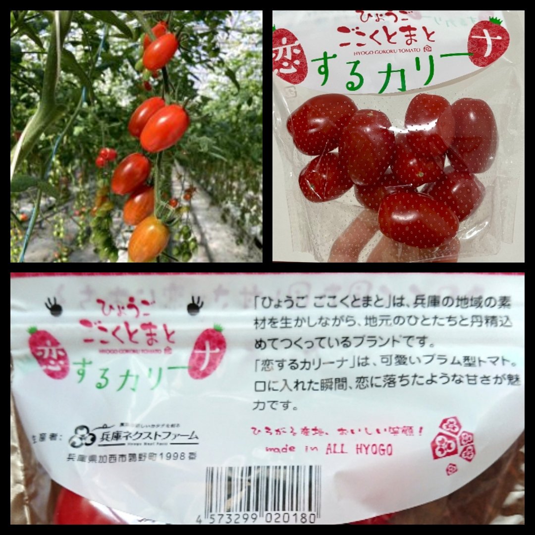 rQGMhX1mzM3YCor's tweet photo. https://t.co/KvrqtHgaZ0
#兵庫ネクストファーム
#サラダボウル
#JA兵庫みらい
#兵庫県 #加西市
#GGAP
#グローバルギャップ
#ひょうごごこくとまと
#恋するカリーナ
#トマト 🍅 #ミニトマト
#STU48
#尾崎世里花
#瀬戸内PR部隊
#ぱせりを瀬戸内PR部隊へ
#AKB48 姉妹G https://t.co/QyMw1ibMAt