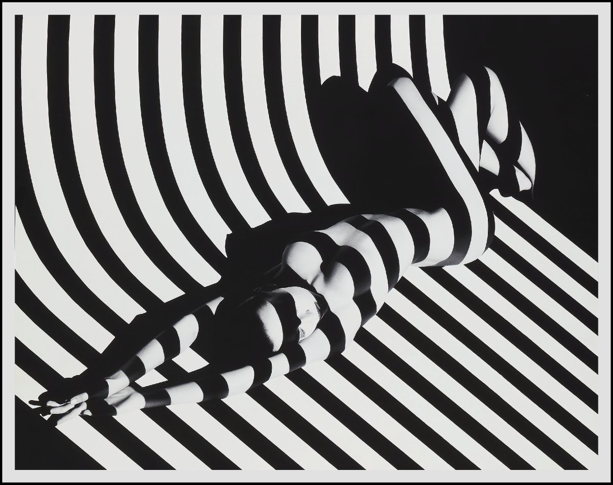 cameralab21's tweet photo. Francis Giacobetti - Zebra https://t.co/n4Nlsbfo2d