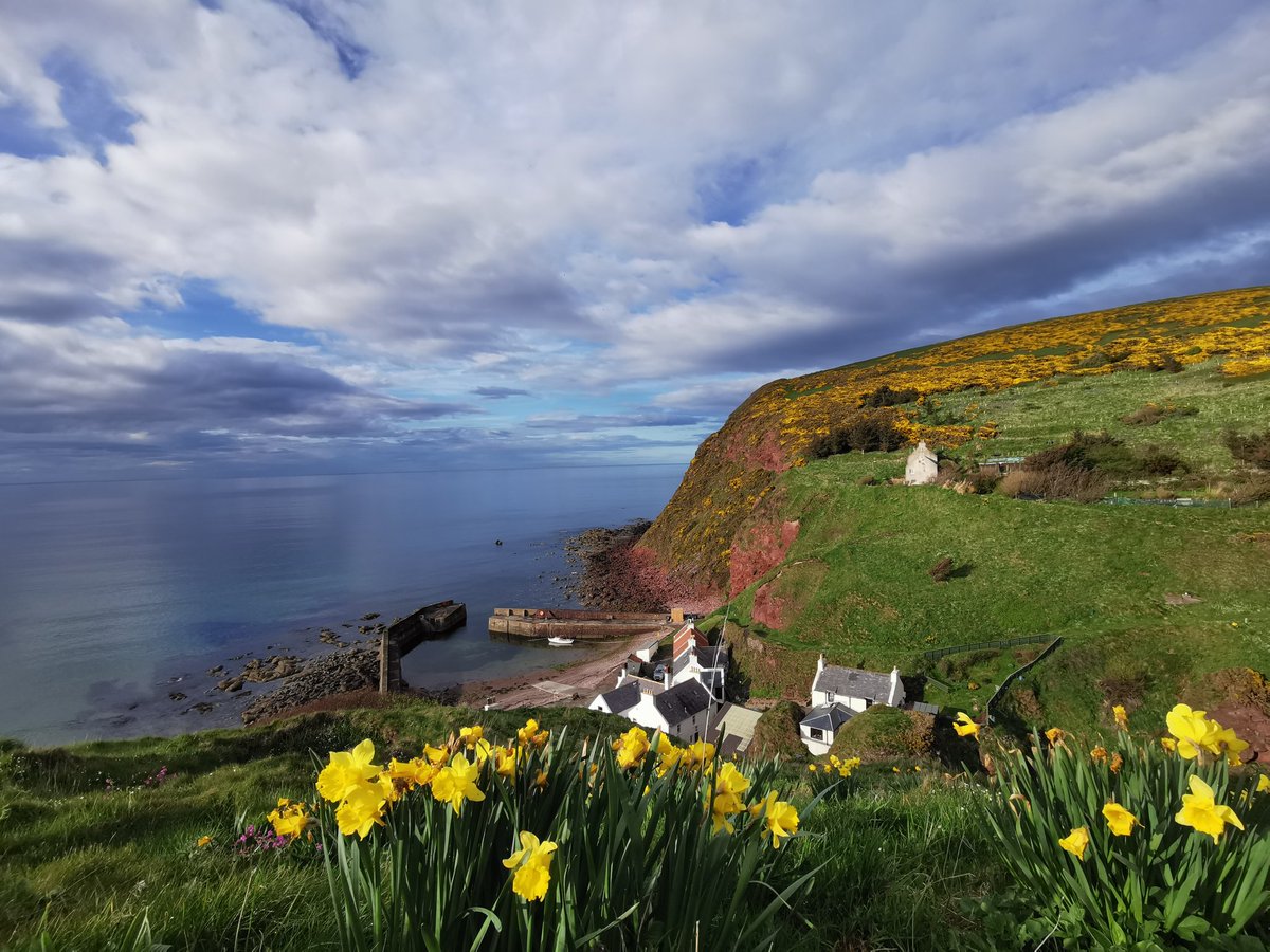 Discovering Scotland with the best Ambassadors ever! My <a href="/SassenachSpirit/">Sassenach Spirits</a> tote-bag and my little Angus (born on the same day than me)! Thanks <a href="/SamHeughan/">Sam Heughan</a> for this beautiful and so useful bag! It's perfect for travelling around Europe!
#scotlandforever #scotland <a href="/RealAlexNorouzi/">Alex Norouzi</a>