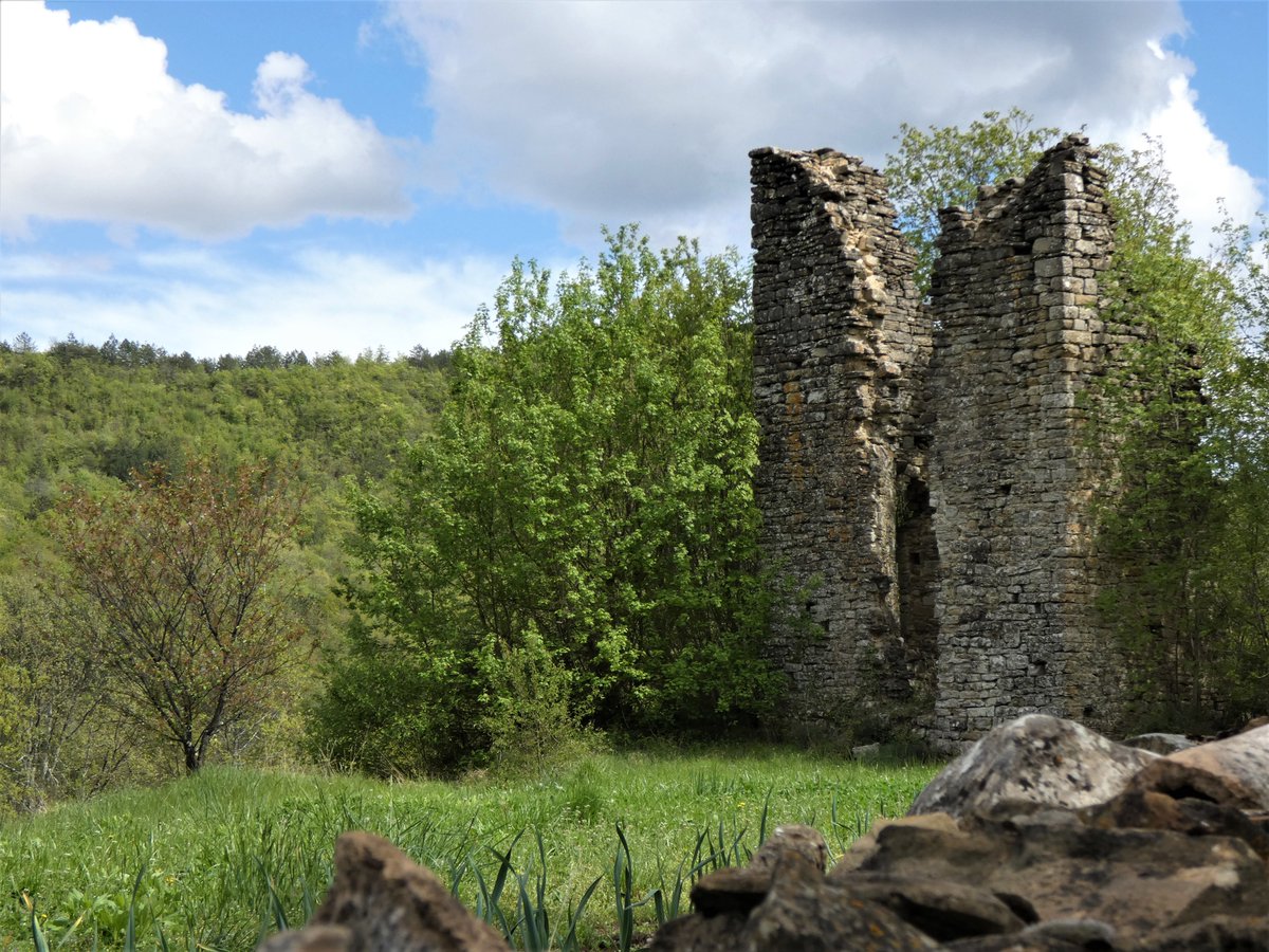 Central_Istria's tweet photo. Did you hear for #Gradinje? π§
In the Middle Ages, Gradinje was a series of scattered hamlets on a hill above Gradinski stream. It consisted a high defensive tower and a large fortified courtyard. π° The remains of the tower defense are still visible today. ππ»
#centralIstria https://t.co/GAQdvJdApz