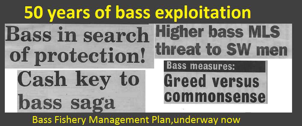 SaveourBass's tweet photo. Get involved in the BFMP, because the exploiters will
https://t.co/Ka5bQLyZCE
#BassFMP #BFMP #SOSBFMP #BASSFMP https://t.co/mepCRNOezZ