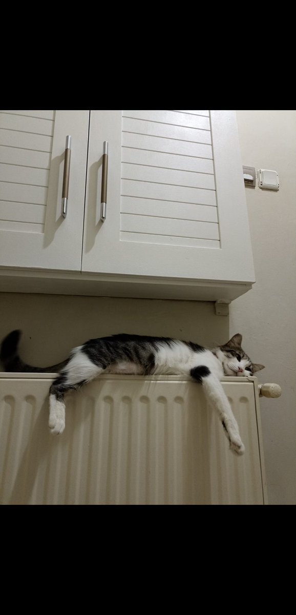 ben bir İsmail miyim