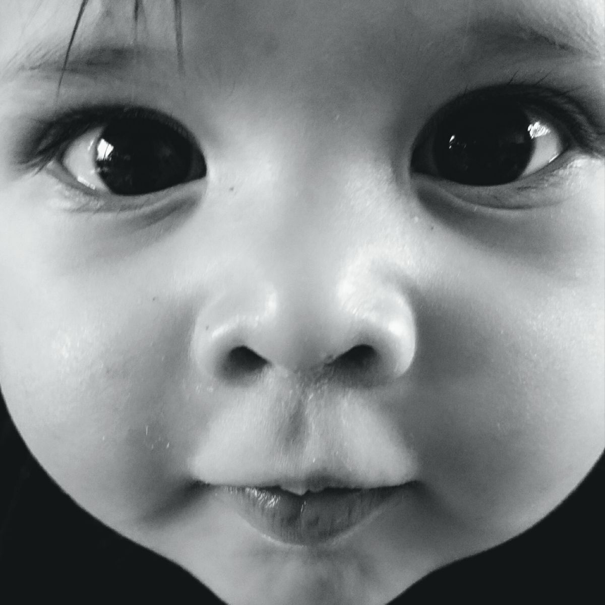 'The Early Years' van Wolf Vanwymeersch vandaag uit - mailchi.mp/c685399c376b/t…