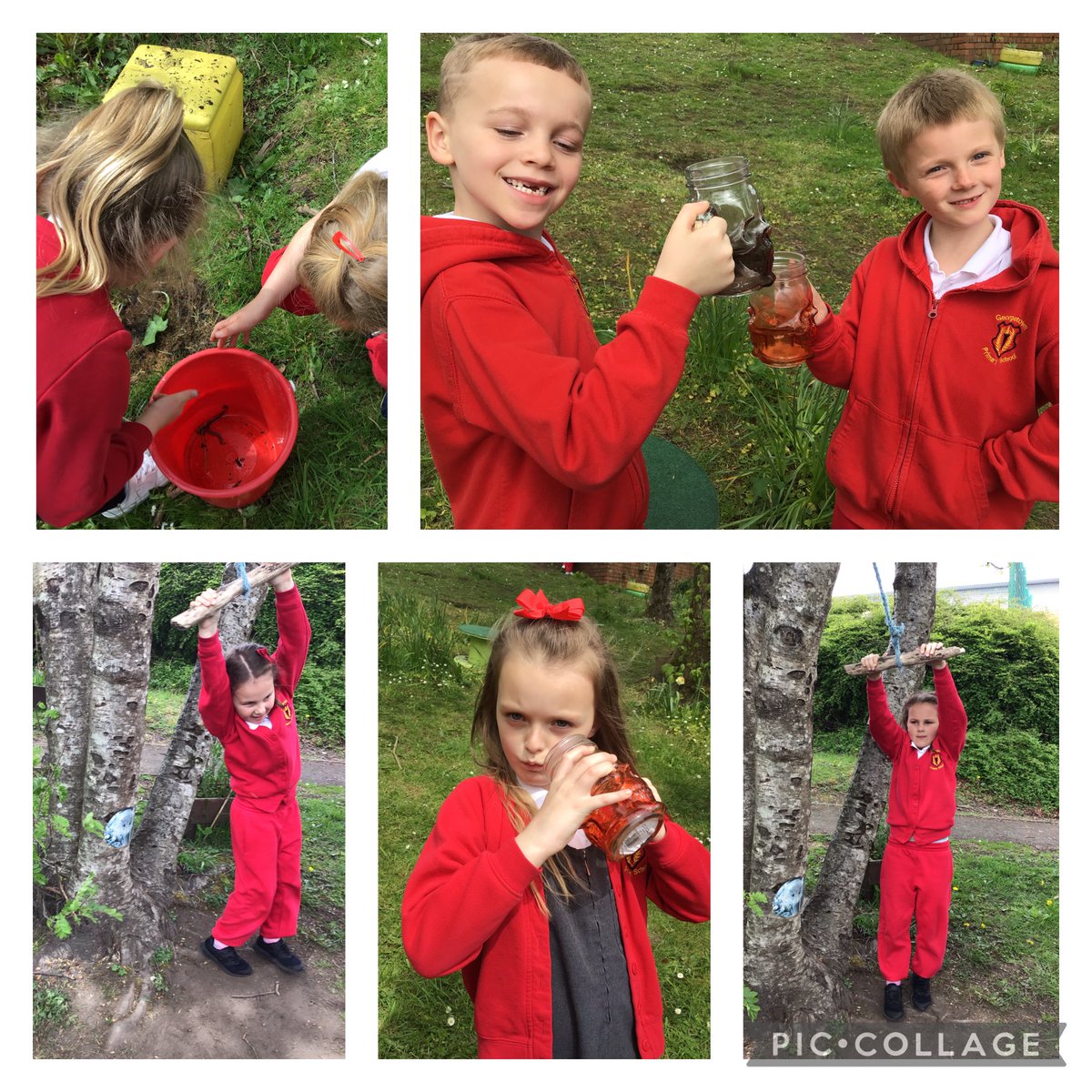 GPSMrsLEvans tweet media