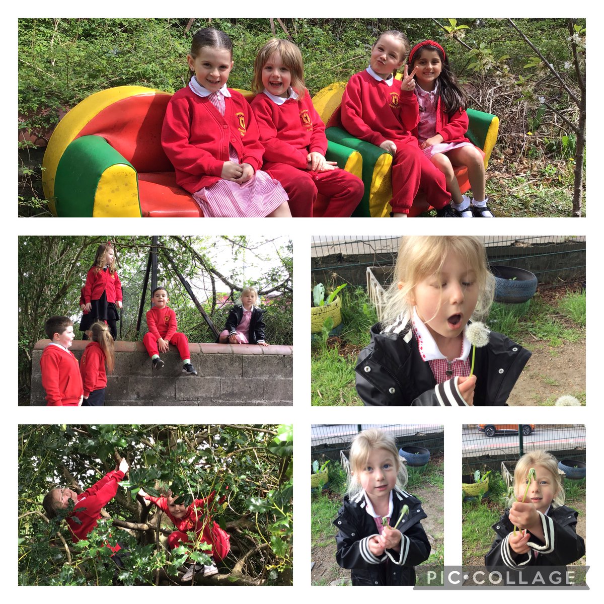 GPSMrsLEvans tweet media