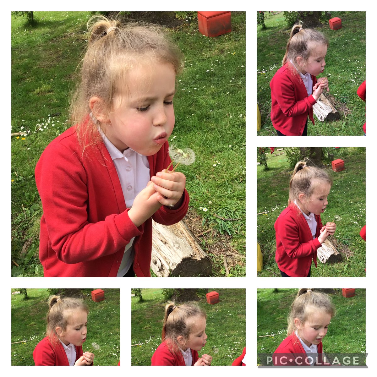 GPSMrsLEvans tweet media