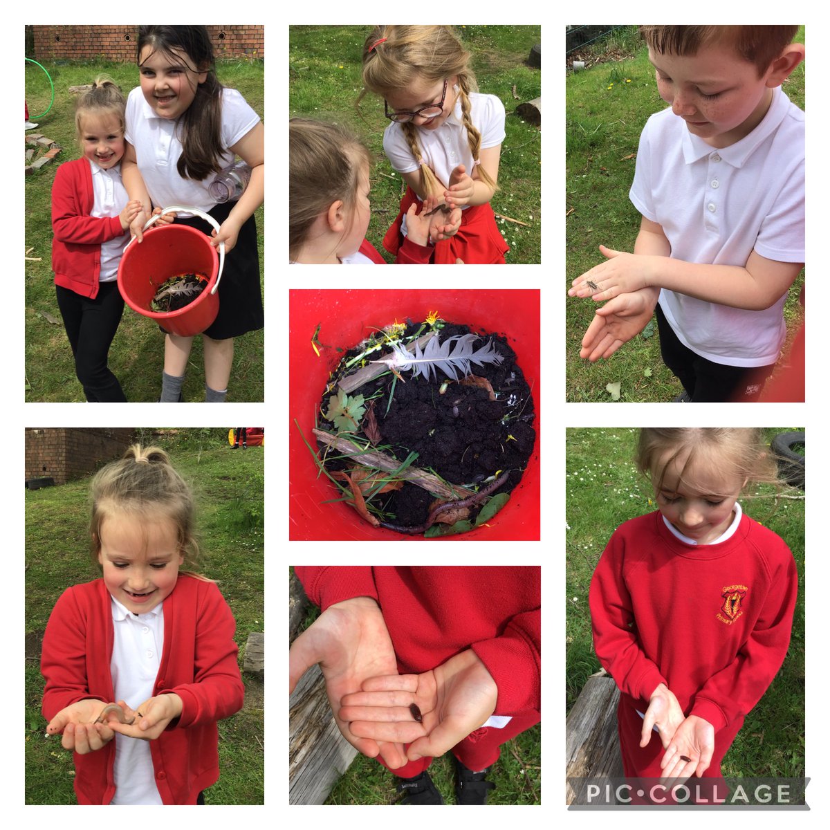 GPSMrsLEvans tweet media