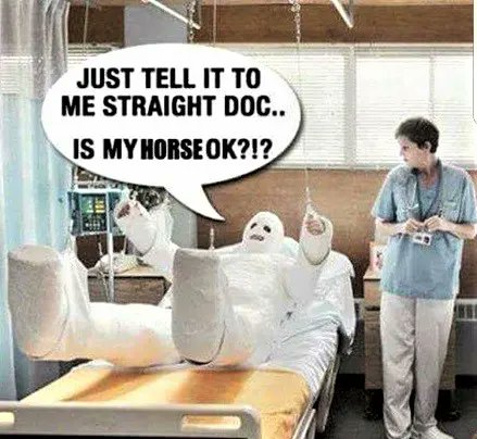 Wormers-Direct tweet media