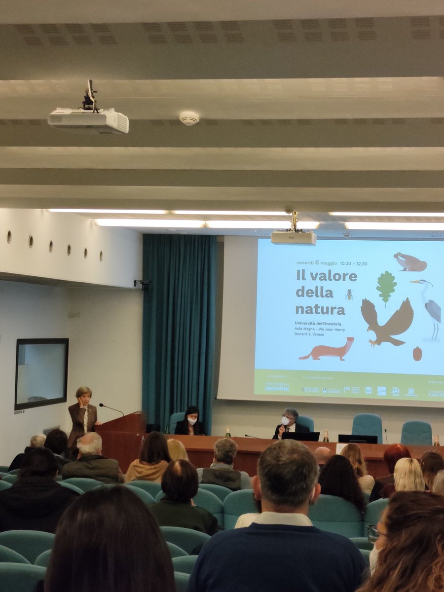 Claudia Sorlini, vicepresidente di <a href="/FondCariplo/">Fondazione Cariplo</a>: "Quando perdiamo una pianta piccola, negletta, insignificante, noi perdiamo una specie e un patrimonio di geni. Un tesoro, uno scrigno importantissimo per il presente per il futuro" 🌱 #CorridoiInsubrici