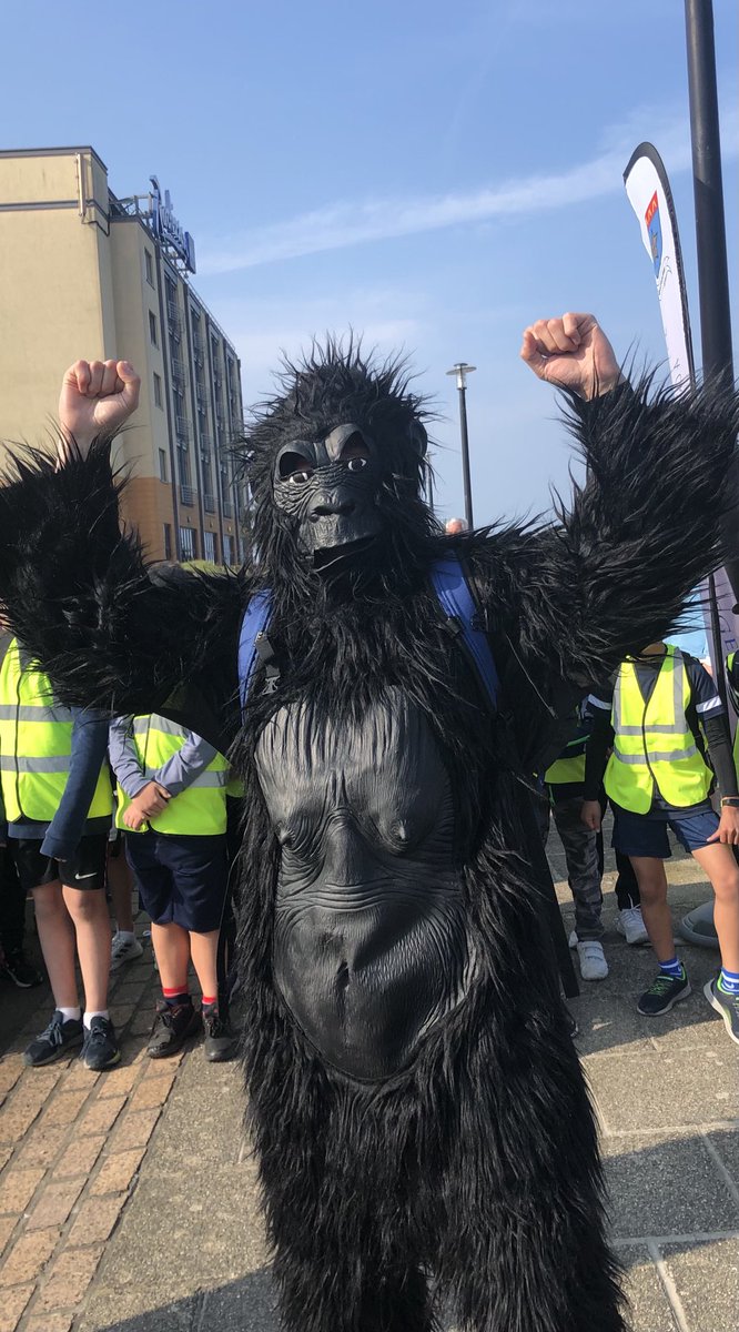 DLSjsyPrimary's tweet photo. Congratulations to all the boys who took part in the De La Salle Primary School Walk last Friday! A special thanks goes to the @JerseyGorilla for starting the boys off and supporting them all the way to the finish line! #DLSExcellenceWithinReach https://t.co/ddNqo98ZcW