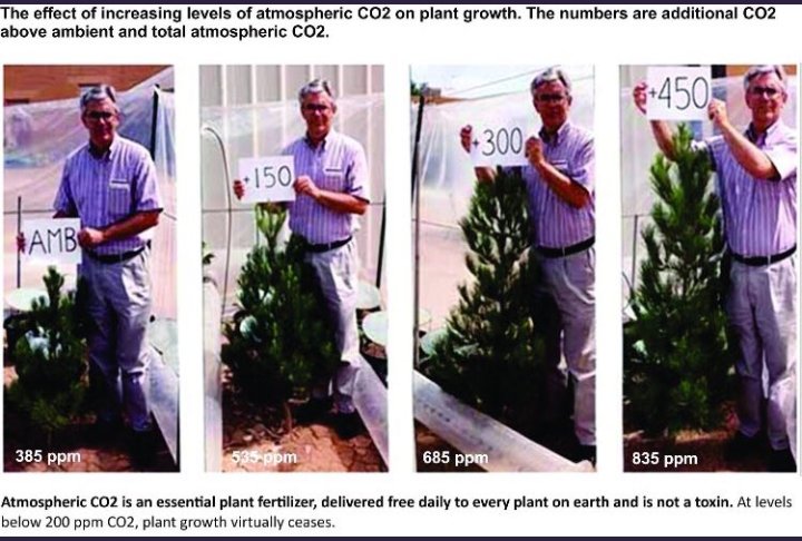 manlyvibemark's tweet image. It's just plant food 😁