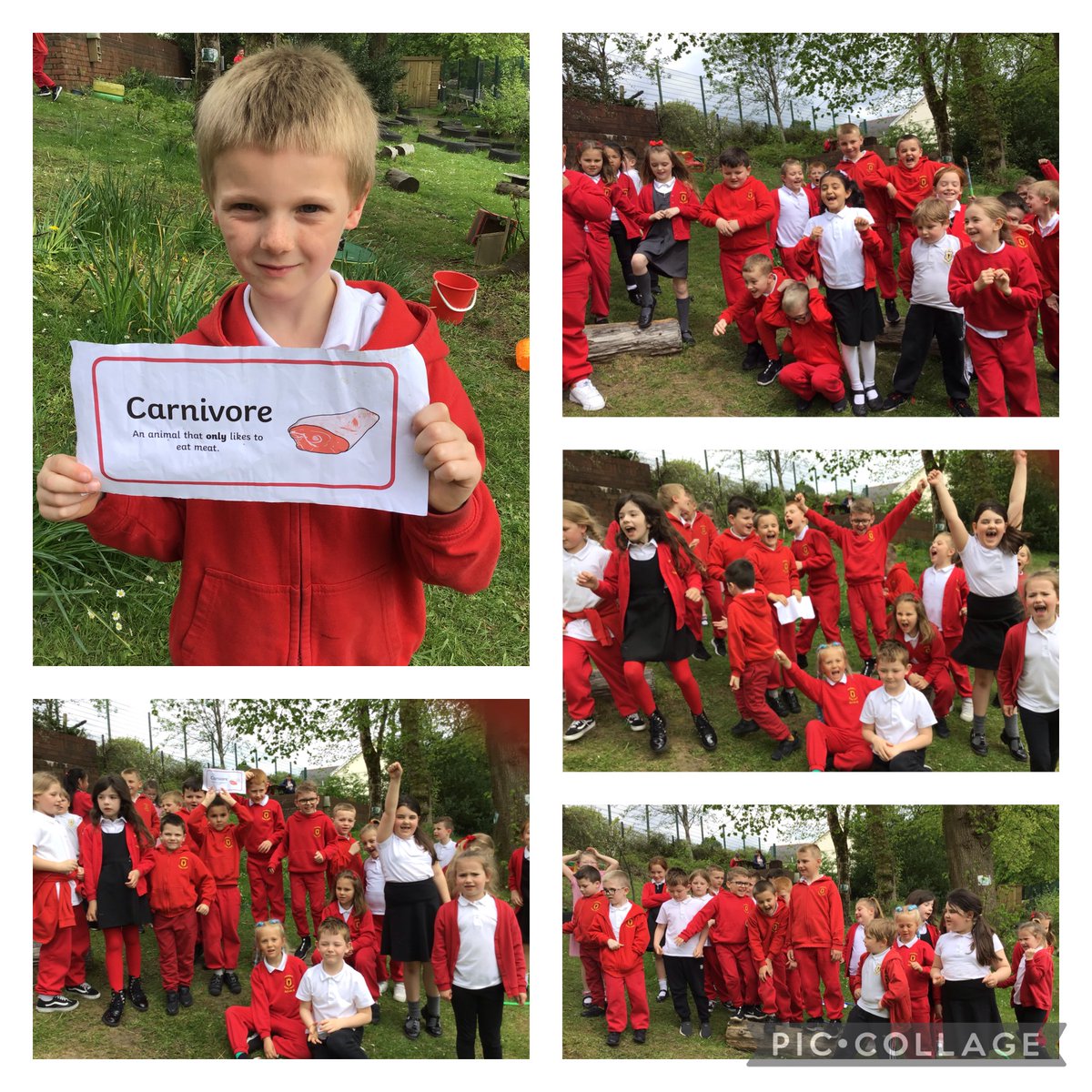 GPSMrsLEvans tweet media