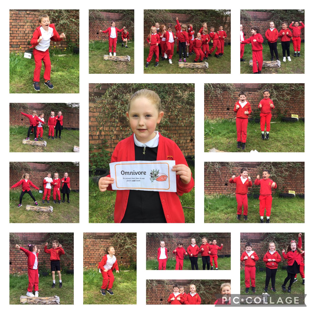 GPSMrsLEvans tweet media